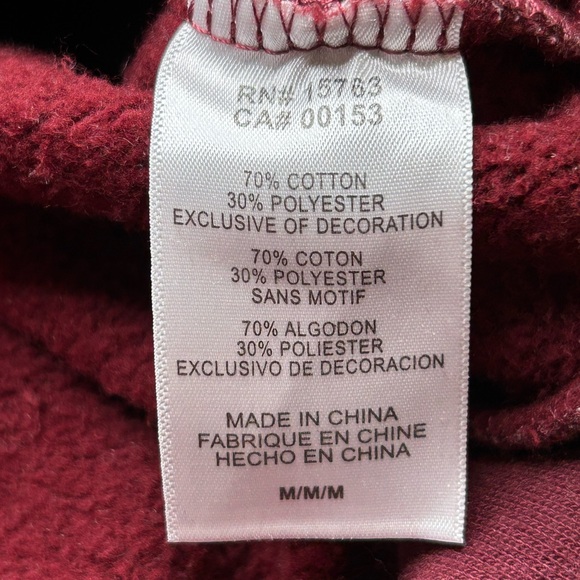 Champion Minnesota Golden Gophers 1/4‎ Zip Pullover Sweatshirt Size Medium NCAA - Picture 11 of 13